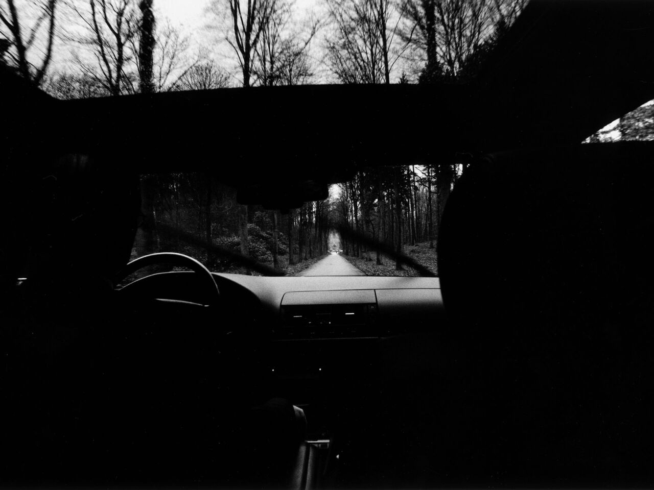 David Lynch, untitled 