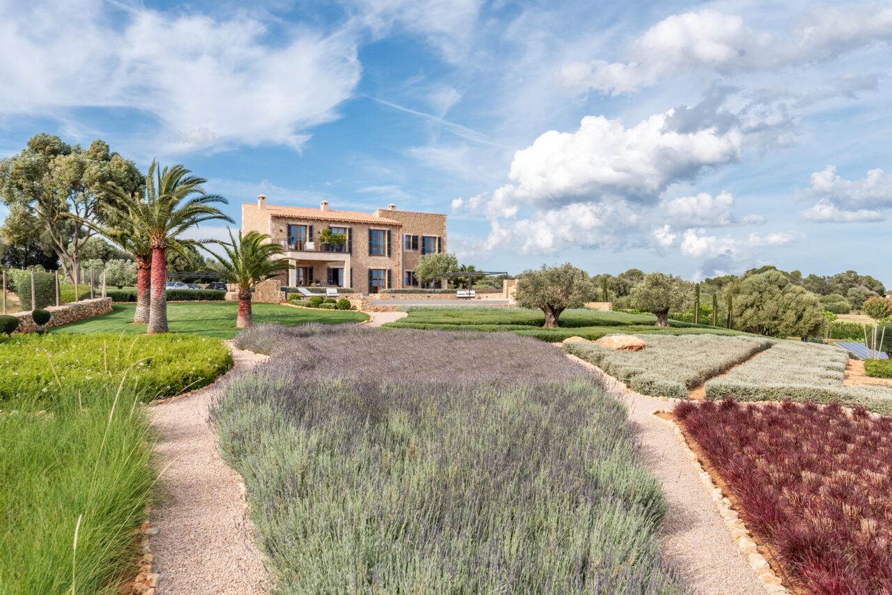 Spektakel für die Sinne