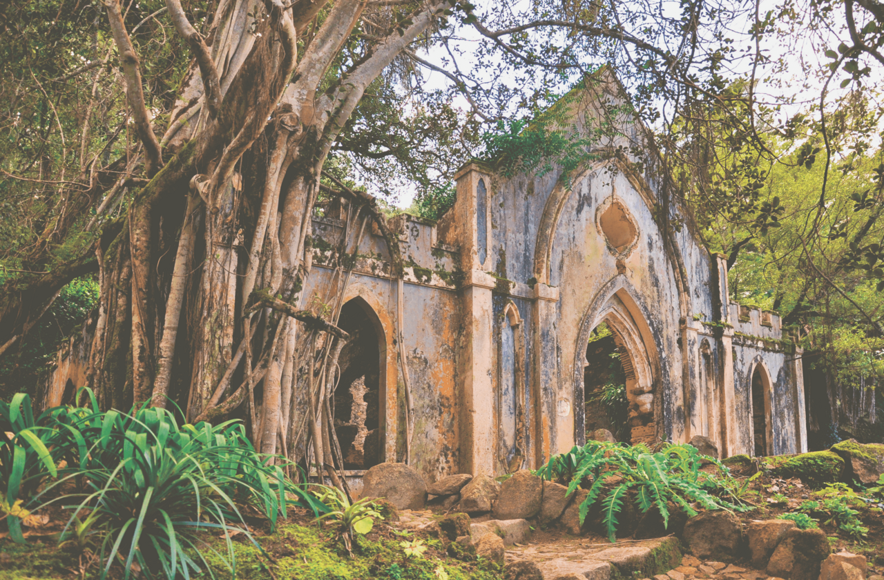 Pal&aacute;cio de Monserrate