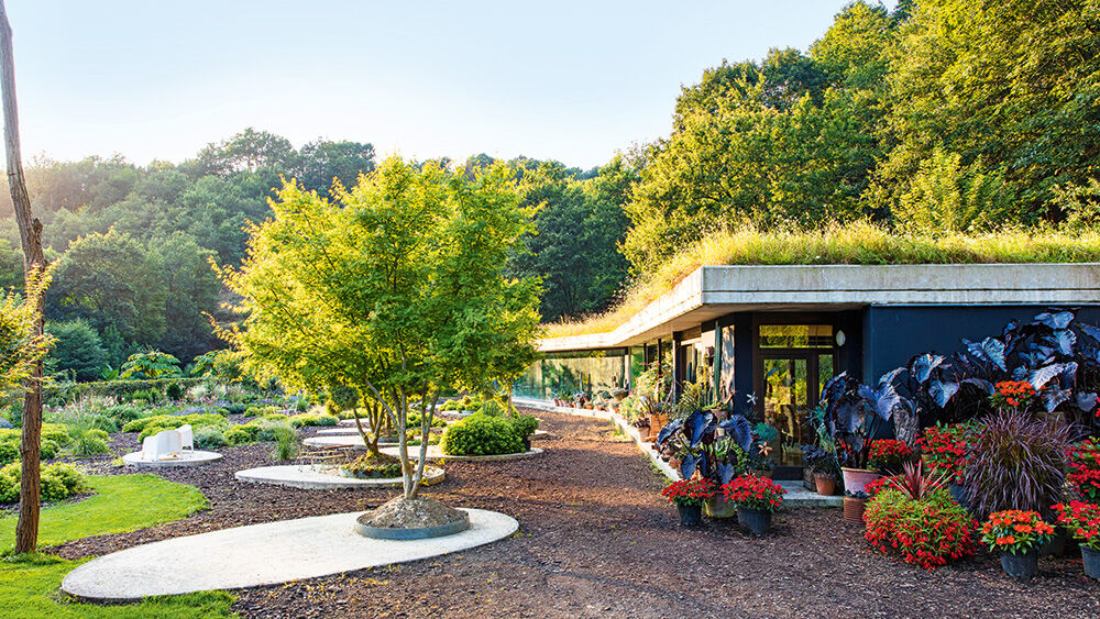 Gr&uuml;ne Architektur