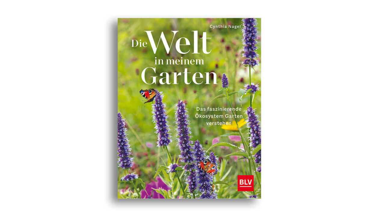 Die Welt in meinem Garten Das faszinierende Ökosystem Garten verstehen Cynthia Nagel BLV