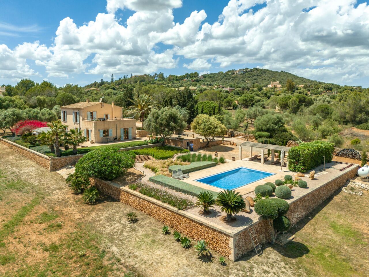 Zu neuem Leben erwacht