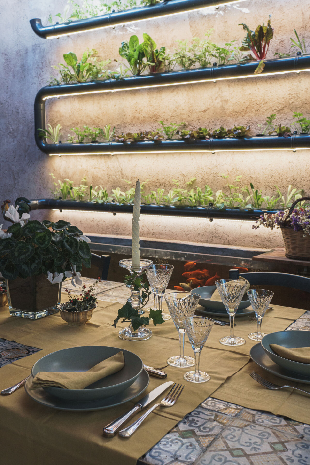 Elisabetta Carrubba3