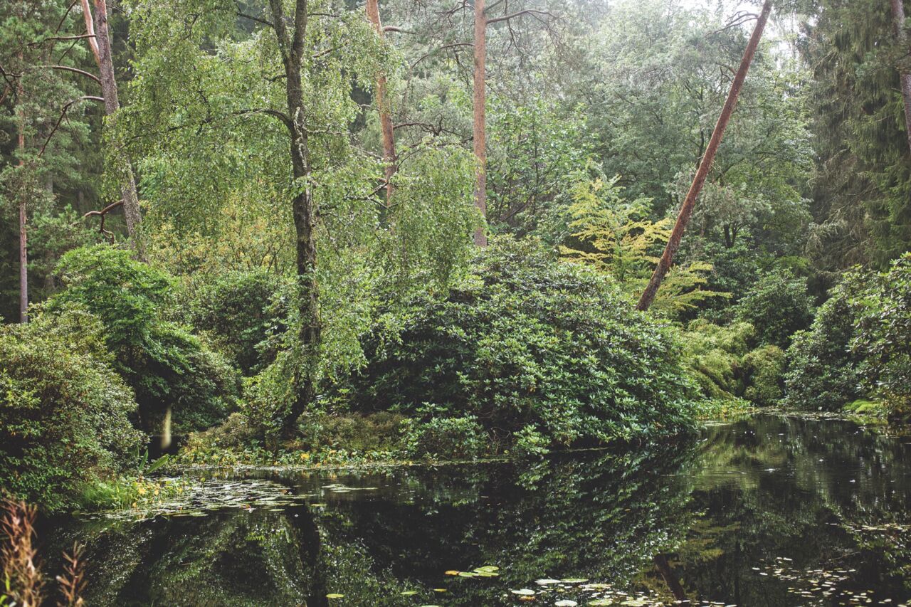 Wetl der Trolle, Vargasst&auml;tten Siml&aring;ngsdalen