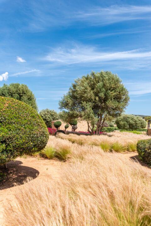 Form und Perspektive