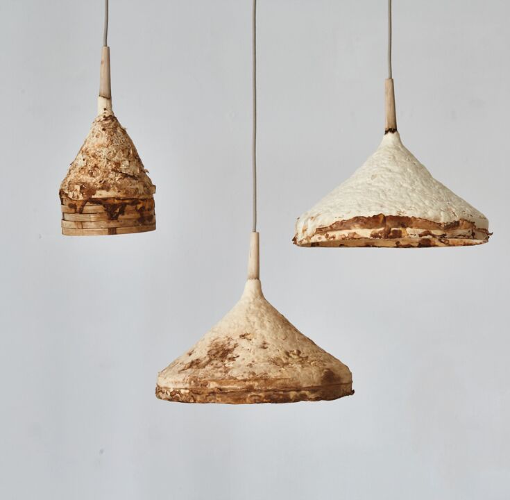 Sebastian Cox_Ninela Ivanova_Mycelium H&auml;ngeleuchten