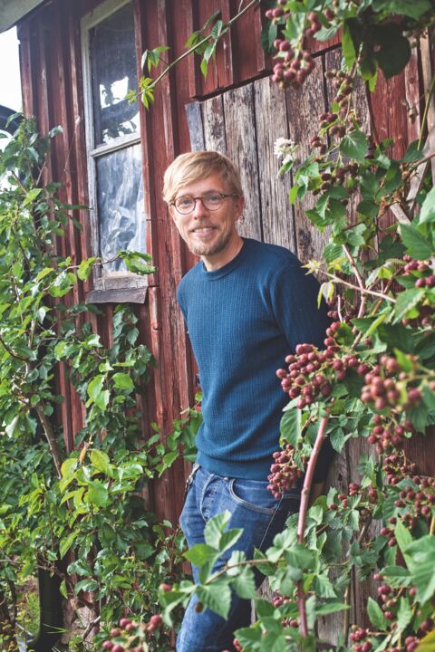 Anders St&aring;lhand, Hornborga