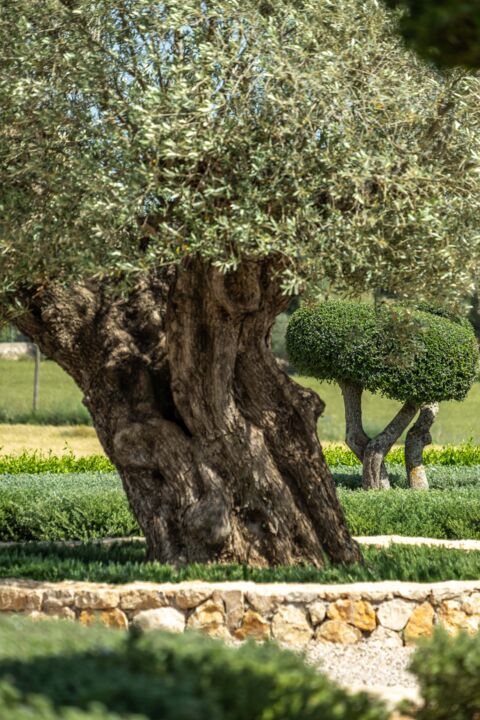 Dekorativ und nützlich