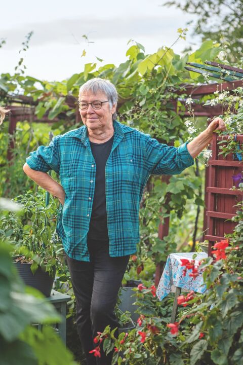 Lena Israelsson, Tanto Kolonitr&auml;dg&aring;rd, Stockholm