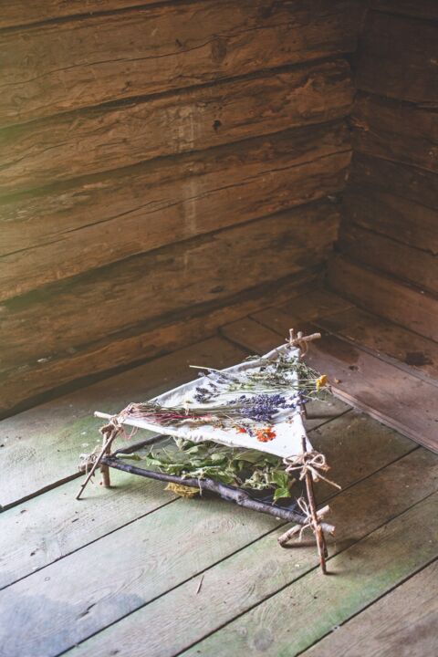 Bl&uuml;ten trocknen