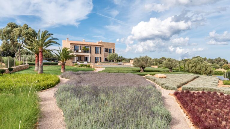 Spektakel f&uuml;r die Sinne