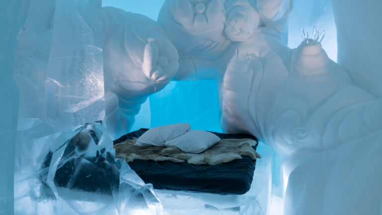 small_Survival_Of_The_Fittest__Carl_Wellander___Malena_Wellander__Sweden__ICEHOTEL_36__photo-_Asaf_Kliger-2